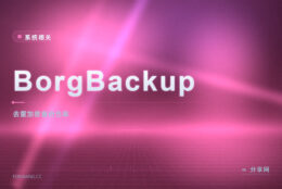 单机备份要省空间：BorgBackup 去重加密压成一个仓库