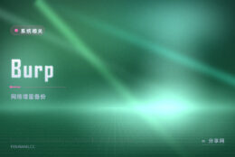 Burp 备份还原：别和 Burp Suite 搞混，这是 grke 家的开源网络备份