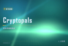 密码学课本太抽象：Cryptopals 让你写代码破题