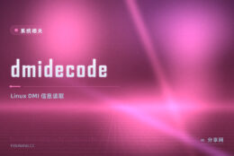 dmidecode 读 DMI 表：主板 BIOS 内存底细，Linux 下一查便知