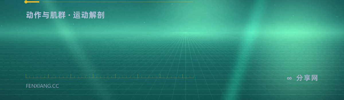 ExRx.net — 动作与肌群 · 运动解剖（免费学习资源）