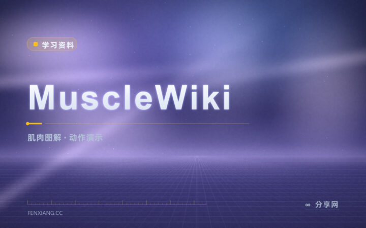 想练某块肌肉不知道做啥：MuscleWiki 点图就能看动作