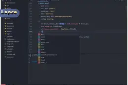 用 Rust 写的轻量编辑器：Lapce 开源免费，启动快补全强