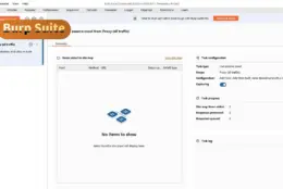 手动抠 Web 接口漏洞：Burp Suite 社区版白嫖可用，拦截改包最顺手