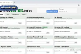 域名背后藏了什么？ViewDNS.info 一把梭查 WHOIS、反查与历史