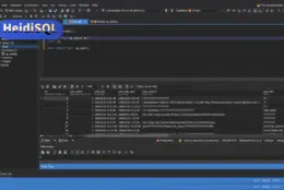 连数据库就用它：HeidiSQL 开源免费，MySQL 管理超顺手