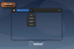 录段 GIF 演示最轻：Peek 开源免费，Linux 上录屏转 GIF