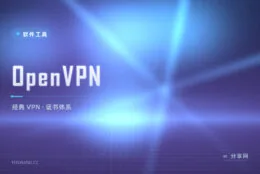 远程办公要连内网？OpenVPN 依然是经典答案