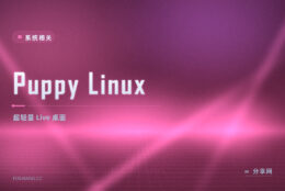 Puppy Linux 迷你 Live：老电脑满血复活，U 盘随身带桌面