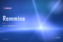 Remmina 远程桌面：Linux 连 RDP VNC 一把抓，运维远程控制首选