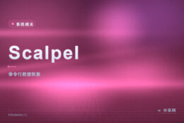 命令行捞文件：Scalpel 开源按特征恢复 Linux 下丢失数据
