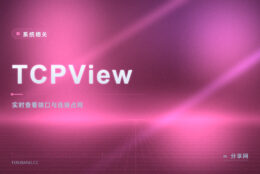 端口被占用找不到是谁：TCPView 把占用进程揪出来
