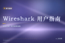抓包看不懂字段：Wireshark 官方指南逐项讲
