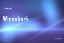 网络到底哪里出问题？Wireshark 抓包一目了然